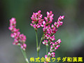 アイ